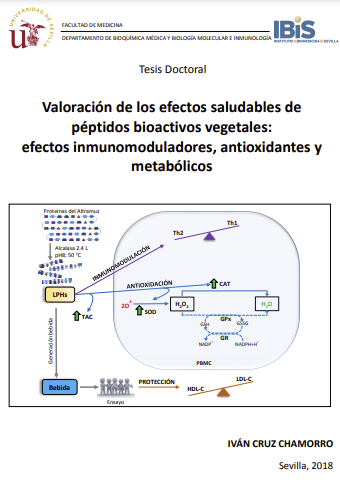 Valoración de los efectos saludables de péptidos bioactivos vegetales: efectos inmunomoduladores, antioxidantes y metabólicos.