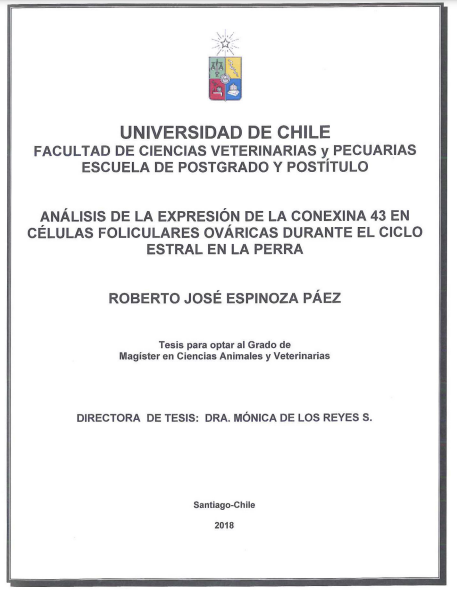 Análisis de la expresión de la conexina 43 en células foliculares ováricas durante el ciclo estral de la perra