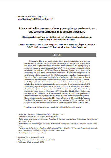 Bioacumulación por mercurio en peces y riesgo por ingesta en una comunidad nativa en la amazonia peruana