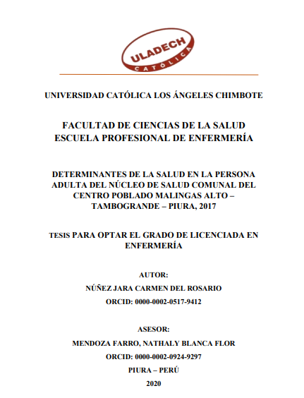 Determinantes de la salud en la persona adulta del núcleo de salud comunal del centro poblado Malingas