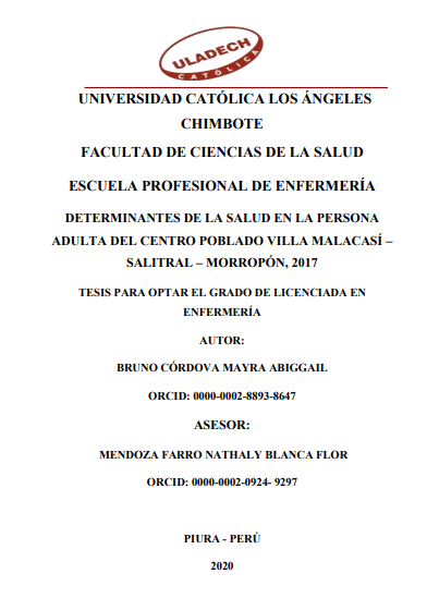 Determinantes de la salud en la persona adulta del centro poblado Villa Malacasí - Salitral - Morropón, 2017