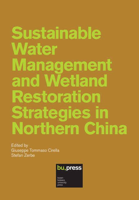 Sustainable Water Management and Wetland Restoration Strategies in Northern China