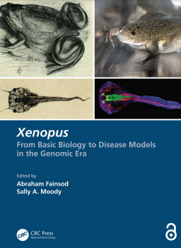 Xenopus