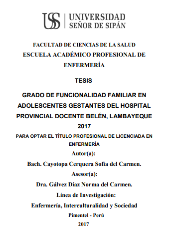 GRADO DE FUNCIONALIDAD FAMILIAR EN ADOLESCENTES GESTANTES DEL HOSPITAL PROVINCIAL DOCENTE BELÉN, LAMBAYEQUE 2017