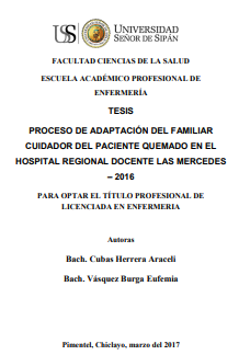 Proceso de adaptación del familiar cuidador del paciente quemado en el Hospital Regional Docente Las Mercedes - 2016