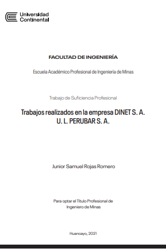 Trabajos realizados en la empresa DINET S. A. U. L. PERUBAR S. A.