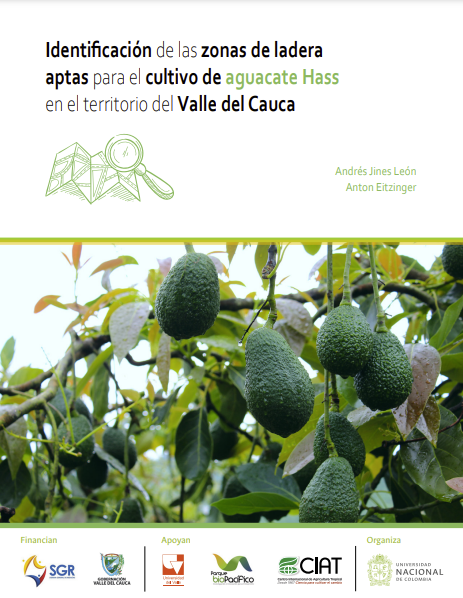 Identificación de las zonas de ladera aptas para el cultivo de aguacate Hass en el territorio del Valle del Cauca