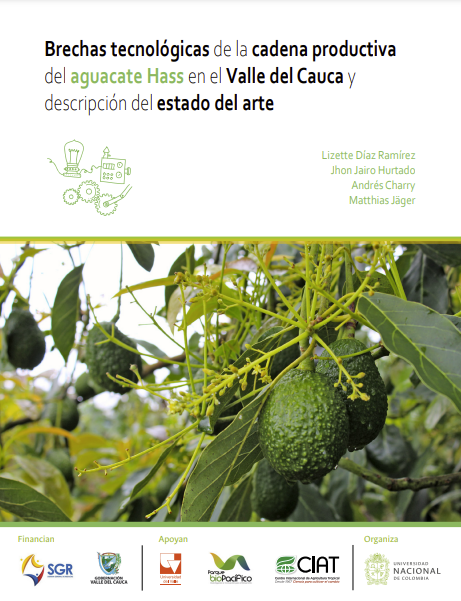 Brechas tecnológicas de la cadena productiva del aguacate Hass en el Valle del Cauca y descripción del estado del arte