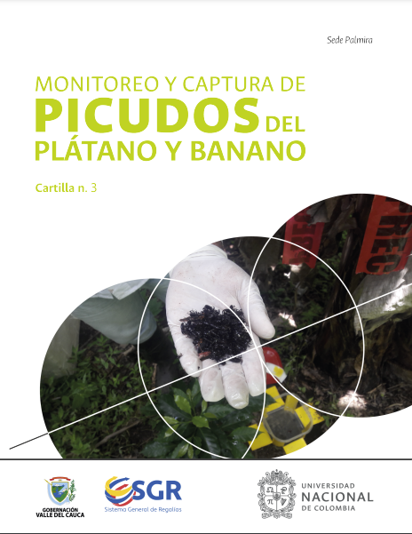 Monitoreo y captura de picudos del plátano y banano