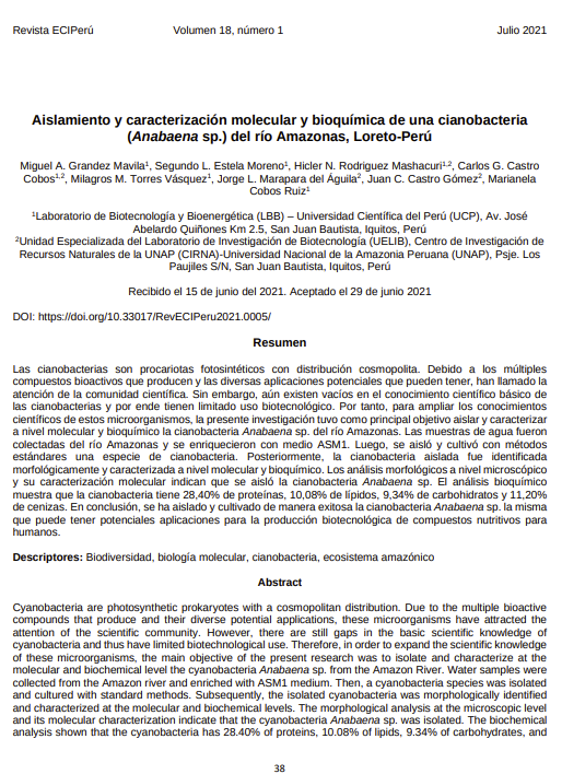 Aislamiento y caracterización molecular y bioquímica de una cianobacteria (Anabaena sp.) del río Amazonas, Loreto-Perú