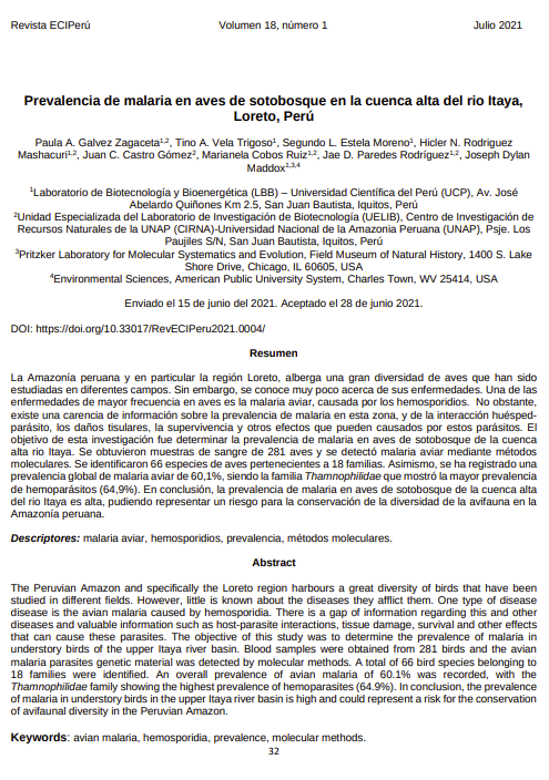 Prevalencia de malaria en aves de sotobosque en la cuenca alta del rio Itaya, Loreto, Perú