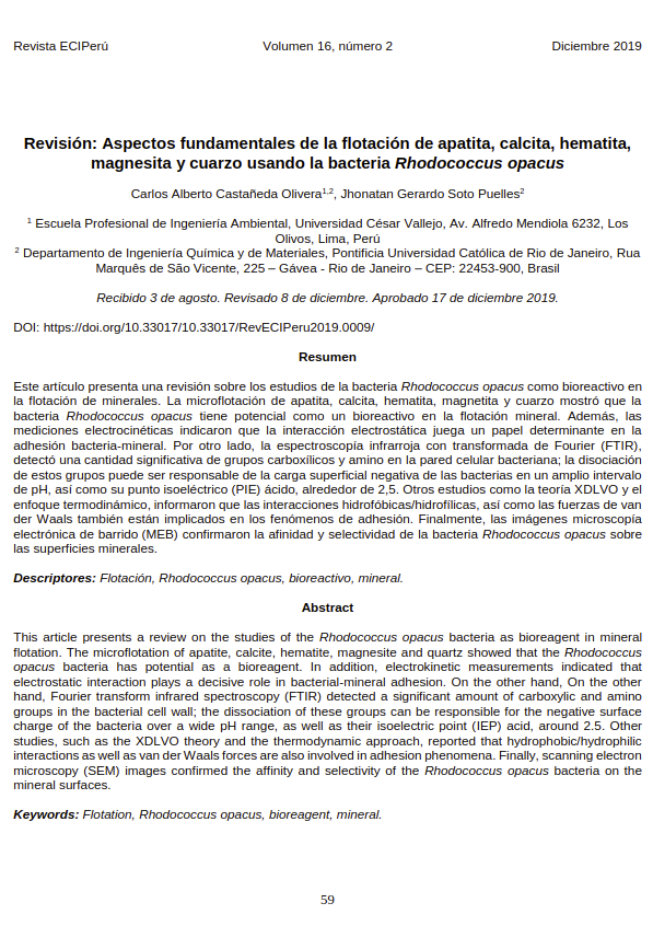 Revisión: Aspectos fundamentales de la flotación de apatita, calcita, hematita, magnesita y cuarzo usando la bacteria Rhodococcus opacus