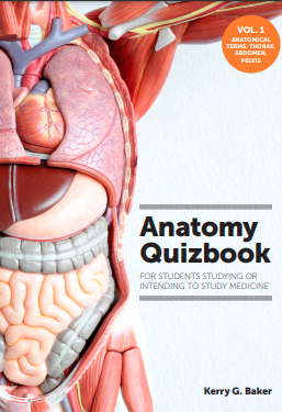 Anatomy Quizbook