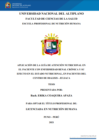 Aplicación de la guía de atención nutricional en el paciente con enfermedad renal crónica y su efecto en el estado nutricional, en pacientes del Centro de Dialisis - Juliaca