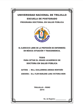 El ejercicio libre de la profesión de enfermería en méxico: situación y trascendencia.