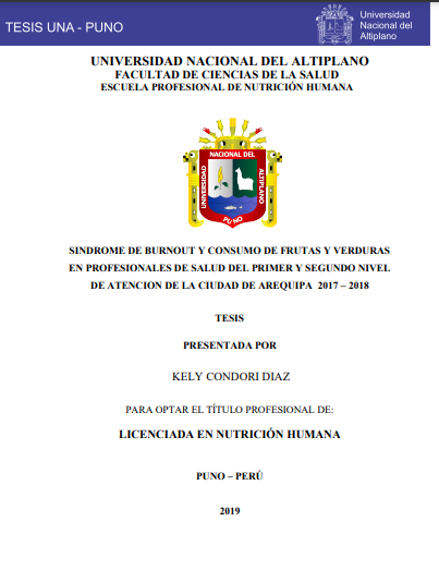 Síndrome de Burnout y consumo de frutas y verduras en profesionales de salud del primer y segundo nivel de atención de la ciudad de Arequipa 2017 – 2018