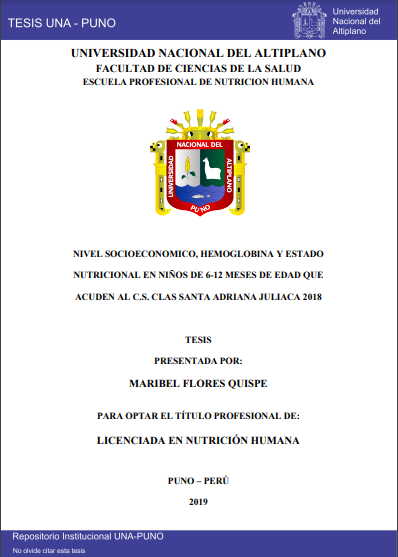 Nivel socioeconómico, hemoglobina y estado nutricional en niños de 6-12 meses de edad que acuden al C.S. Clas Santa Adriana Juliaca 2018