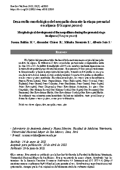 Desarrollo morfológico del neopalio durante la etapa prenatal en alpaca (Vicugna pacos)