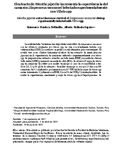 El extracto de Mentha piperita incrementa la supervivencia del camarón Litopenaeus vannamei infectado experimentalmente con Vibrio spp