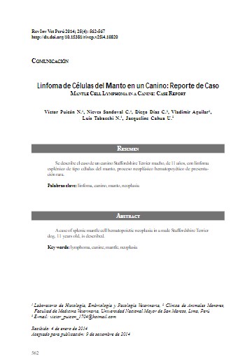 Linfoma de Células del Manto en un Canino: Reporte de Caso