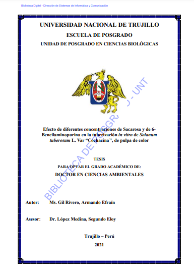 Efecto de diferentes concentraciones de Sacarosa y de 6- Bencilaminopurina en la tuberización in vitro de Solanum tuberosum L. Var “Cochacina’’, de pulpa de color