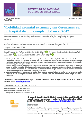 Morbilidad neonatal extrema y sus desenlaces en un hospital de alta complejidad en el 2013