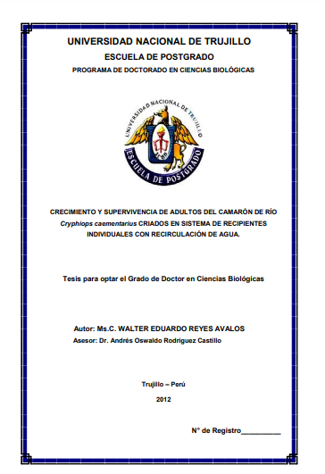 Crecimiento y supervivencia de adultos del camarón de río cryphiops caementarius criados en sistema de recipientes individuales con recirculación de agua