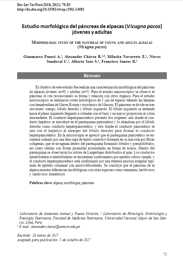 Estudio morfológico del páncreas en alpacas (Vicugna pacos) jóvenes y adultas
