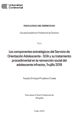 Los componentes estratégicos del Servicio de Orientación al Adolescente – SOA y su tratamiento procedimental en la reinserción social del adolescente infractor, Trujillo 2019