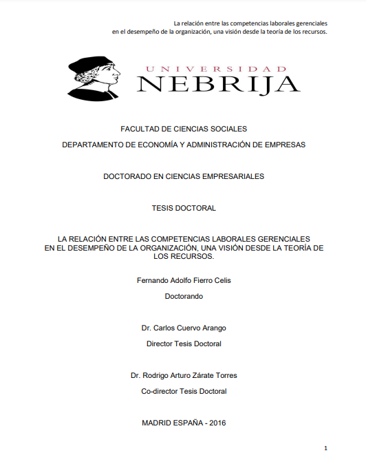 LA RELACIÓN ENTRE LAS COMPETENCIAS LABORALES GERENCIALES EN EL DESEMPEÑO DE LA ORGANIZACIÓN, UNA VISIÓN DESDE LA TEORÍA DE LOS RECURSOS