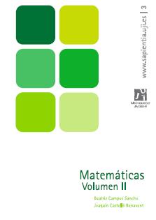 Matemáticas Volumen II