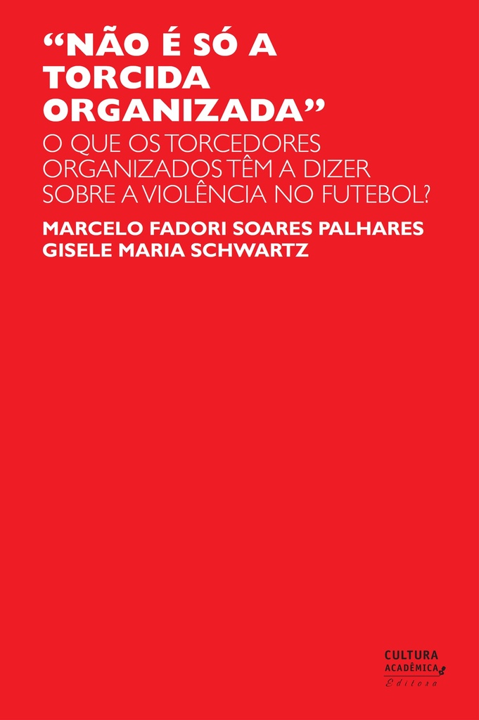 &quot;Não é só a torcida organizada&quot;: o que os torcedores organizados têm a dizer sobre a violência no futebol?