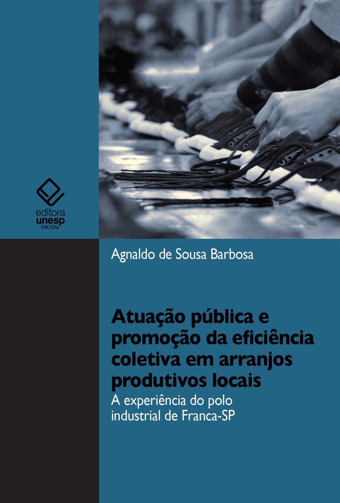 Atuação pública e promoção da eficiência coletiva em arranjos produtivos locais