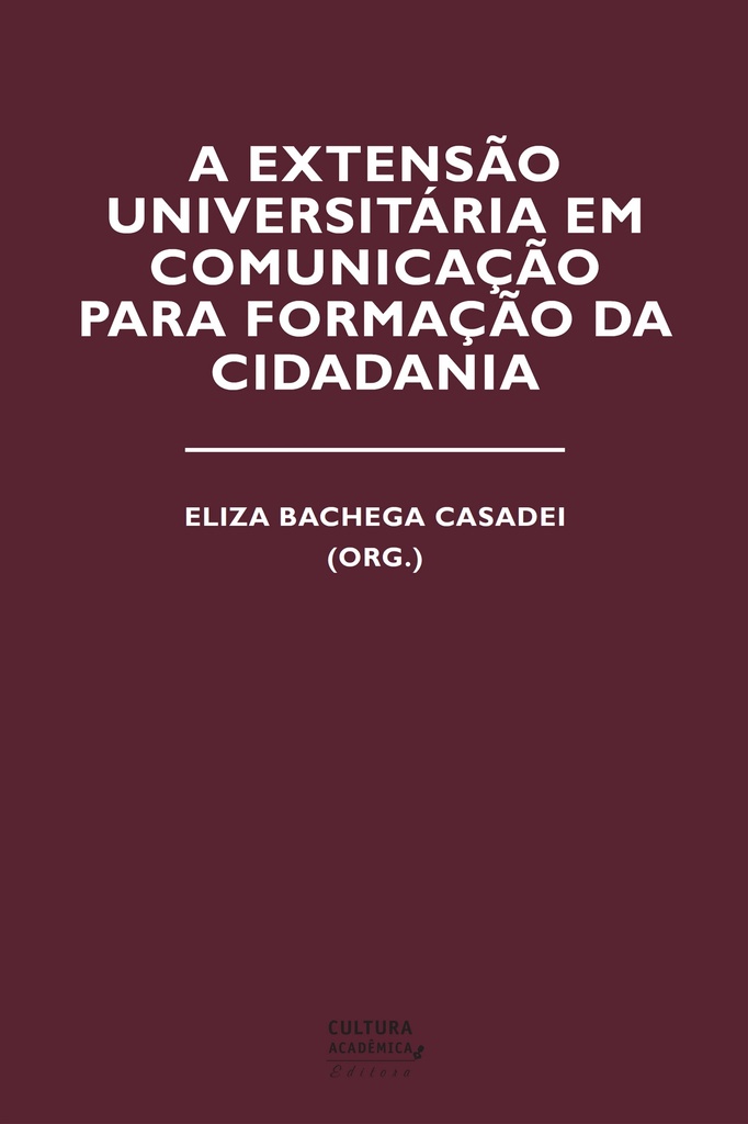 Conflitos, eficiência e democracia na gestão pública