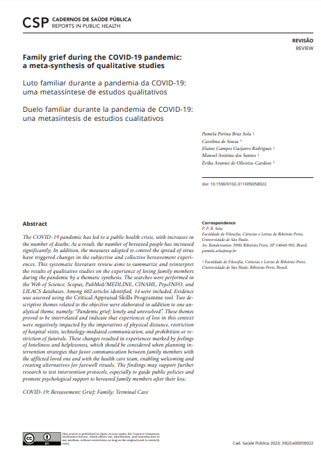 Family grief during the COVID-19 pandemic: a meta-synthesis of qualitative studies