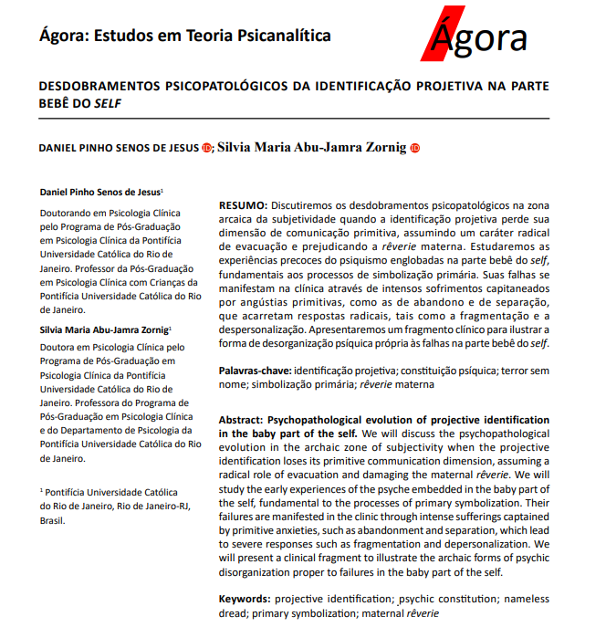 DESDOBRAMENTOS PSICOPATOLÓGICOS DA IDENTIFICAÇÃO PROJETIVA NA PARTE BEBÊ DO SELF