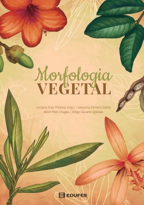 Morfologia vegetal