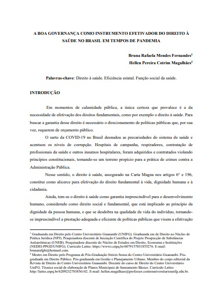 A boa governança como instrumento efetivador do direito à saúde no Brasil em tempos de pandemia