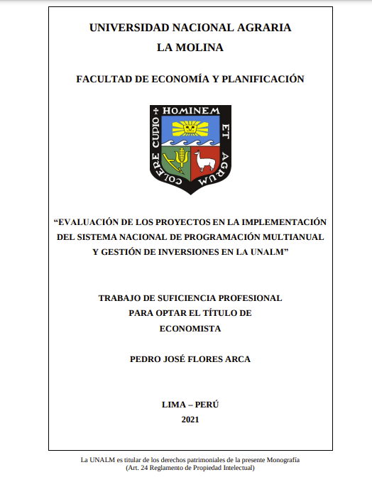 Evaluación de los proyectos en la implementación del sistema nacional de programación multianual y gestión de inversiones