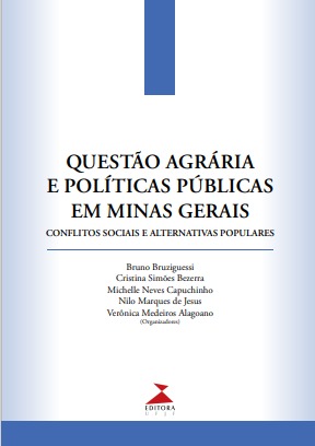 Questão agrária e políticas públicas em Minas Gerais : conflitos sociais e alternativas populares