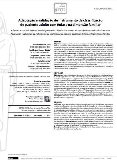 Adaptation and validation of an adult patient classification instrument with emphasis on the family dimension