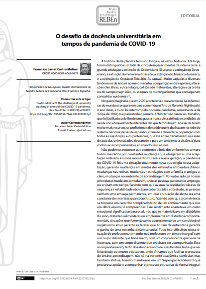 The challenge of university teaching in times of the COVID-19 pandemic