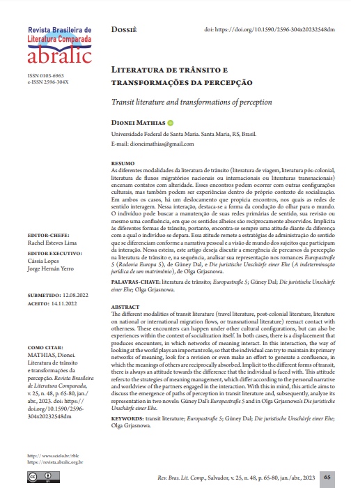 Literatura de trânsito e transformações da percepção