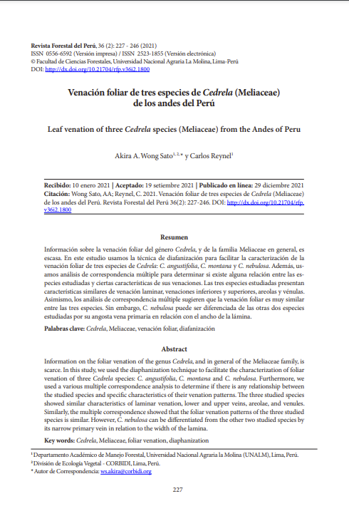 Venación foliar de tres especies de Cedrela (Meliaceae) de los andes del Perú