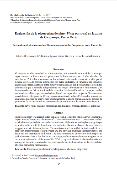 Evaluación de la oleorresina de Pinus oocarpa en la zona de Oxapampa, Pasco, Perú