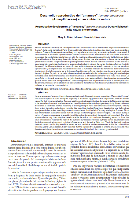 Desarrollo reproductivo del &quot;amancay&quot; Ismene amancaes en su ambiente natural