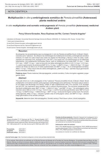 Multiplicación in vitro y embriogénesis somática de Perezia pinnatifida planta medicinal andina