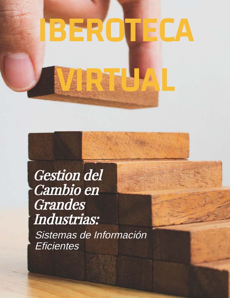 GESTION DEL CAMBIO EN GRANDES INDUSTRIAS SISTEMAS DE INFORMACION EFICIENTES