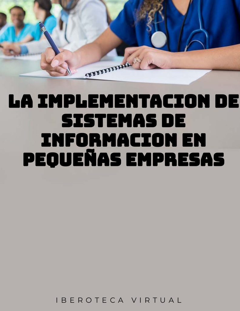 LA IMPLEMENTACION DE SISTEMAS DE INFORMACION EN PEQUEÑAS EMPRESAS