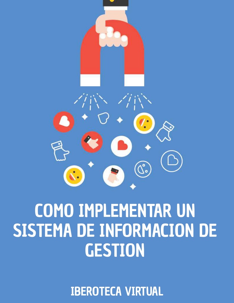 COMO IMPLEMENTAR UN SISTEMA DE INFORMACION DE GESTION